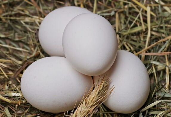 انڈے کی خوراک میں روزانہ مرغی کے انڈے کھانا شامل ہے۔