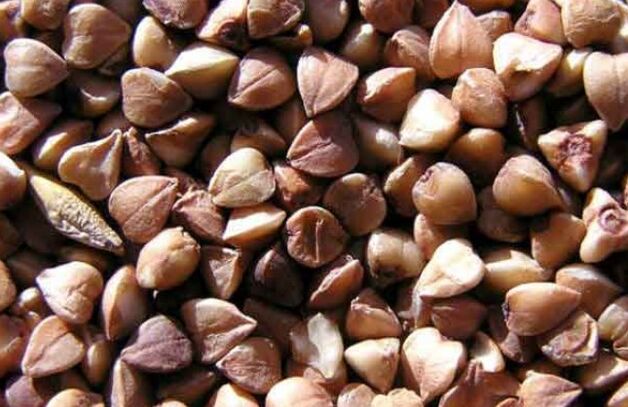 buckwheat نیوکلئس