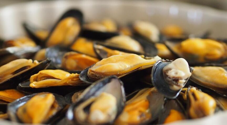 ایک پروٹین غذا پر mussels